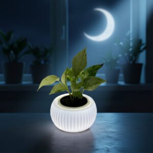 Glowing Plant Pot