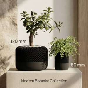 Hoeco 2 Modern Mesh Desktop Planters | Sophisticated Lattice Geometric Succulent Pots | Matte Black (80mm & 120mm)
